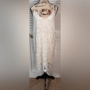 Lumiere Elegant Lace dress NWT